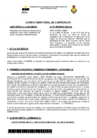 ACTA COMITÉ DE COMPETICIÓN 06 2022 2023