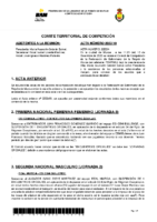 ACTA COMITE DE COMPETICION Nº 10