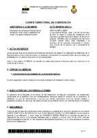 ACTA COMITE DE COMPETICION Nº 11 2022 2023