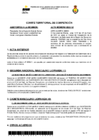 ACTA COMITE DE COMPETICION Nº 12 2022 2023
