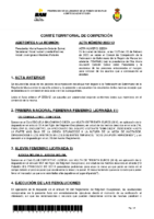 ACTA COMITE DE COMPETICIÓN Nº 13