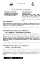 ACTA COMITE DE COMPETICIÓN Nº 18 (1)
